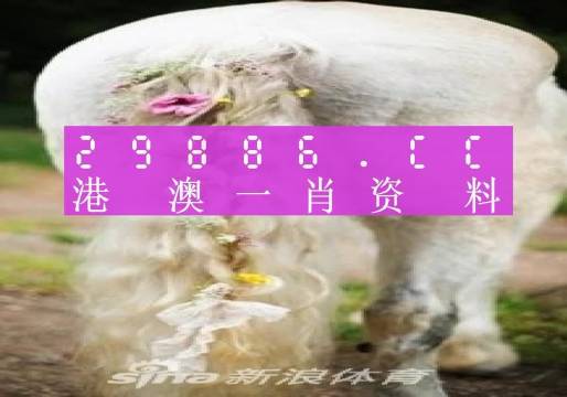 2024-2025澳门一肖一码一一特一中厂|科学释义解释落实